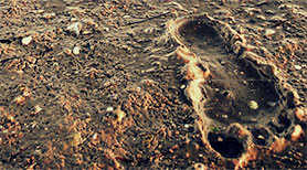 The Virtual Water Footprint of Denmark The Virtual Water Footprint of Denmark