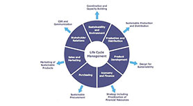 Life Cycle Management Life Cycle Management