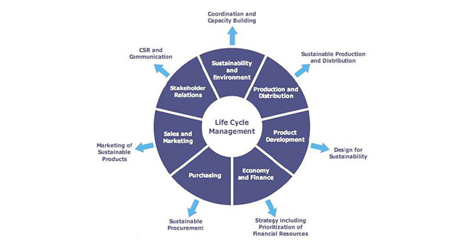 Life Cycle Management in companies Life Cycle Management in companies
