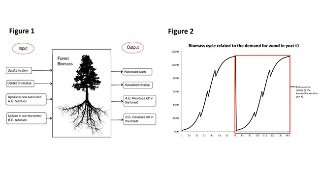 CO2 emissions of forestry products CO2 emissions of forestry products