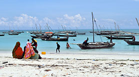Internship in Zanzibar